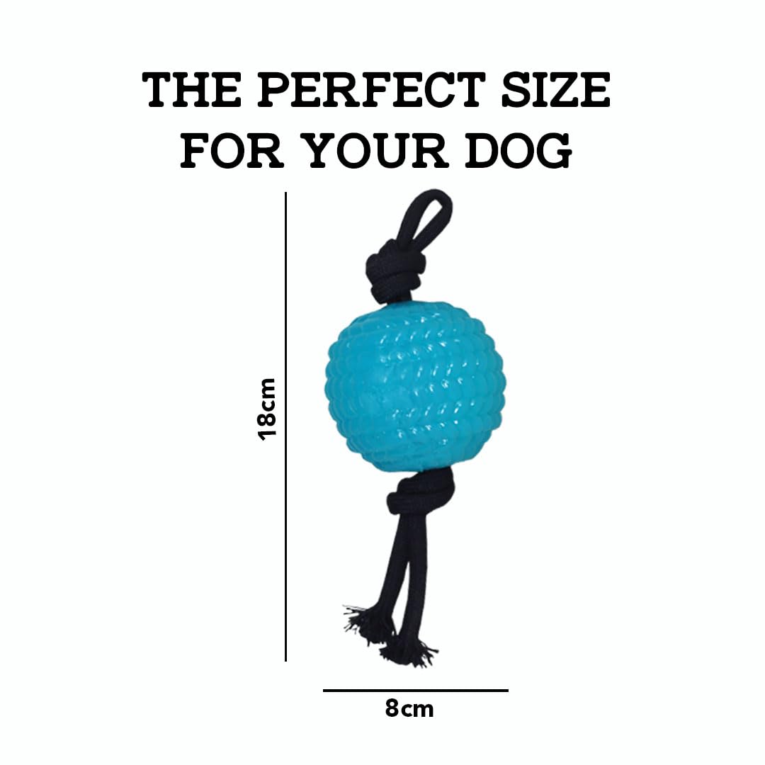 PETAHOLIC CHEW BALL ROPE LARGE