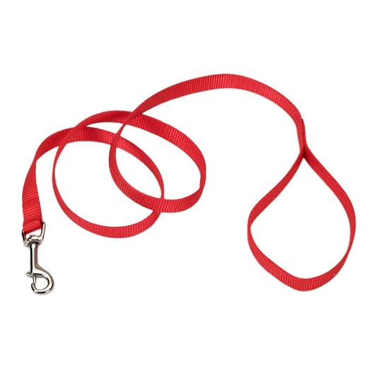 PETS POT 5 8INCH X 5 SINGLE LEAD RED