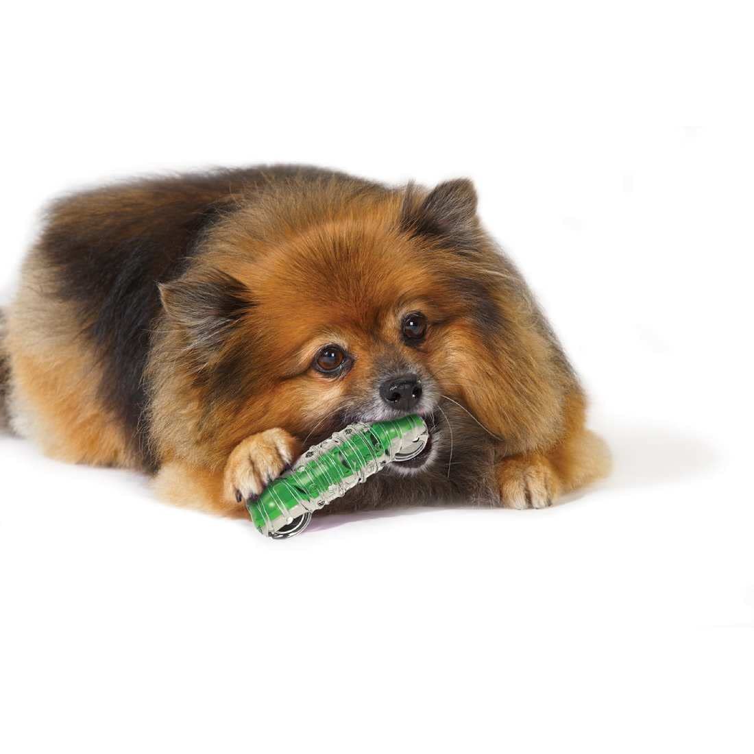CRUNCHCORE BONE LARGE 17CM