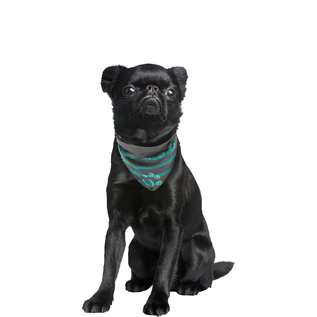 COLLAR WITH NECKERCHIEF M 37 47 CM 20 MM GRAPHITE