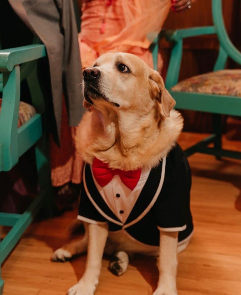 DOB TUXEDO WITH SLEEVES XL