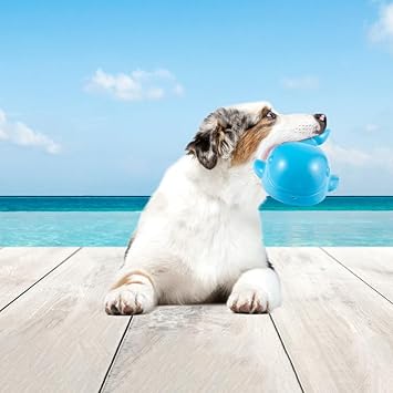 FOFOS OCEAN ANIMAL CHEWING SQUEAKY WHALE