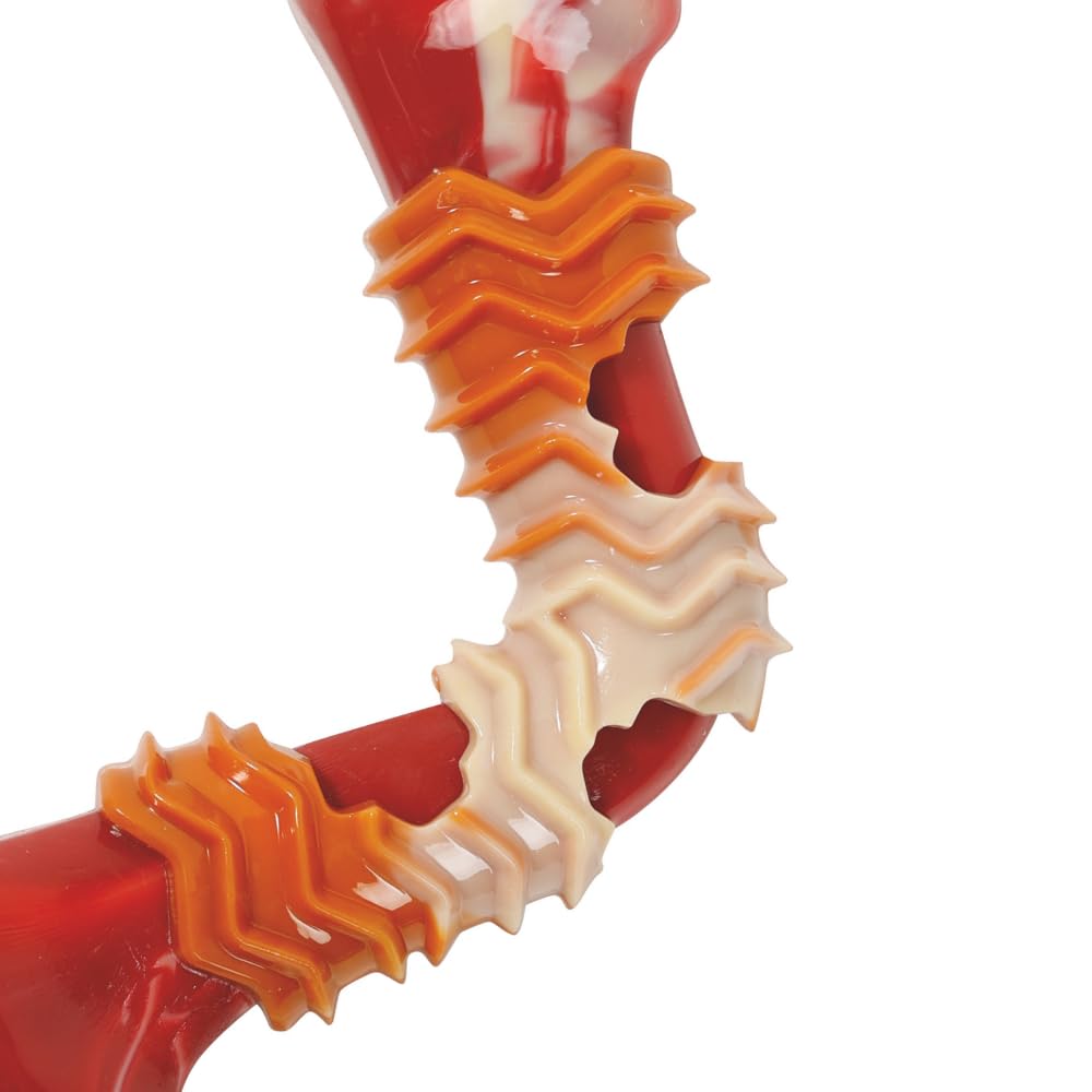 M PET CARNIVORE BOOMERANG BONE BACON SCENTED S