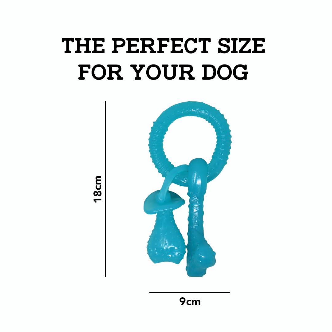 PETAHOLIC FLOATING KEY TOY BLUE