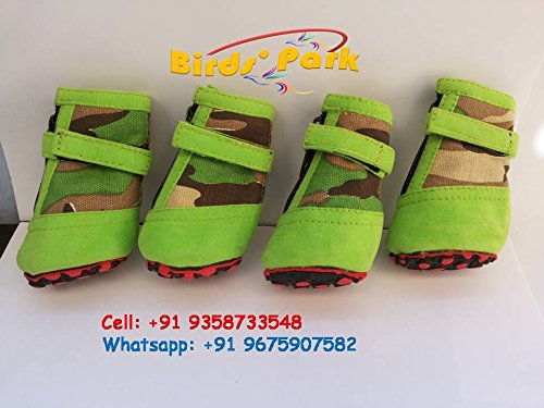 DOG CANVAS SHOES NO.3