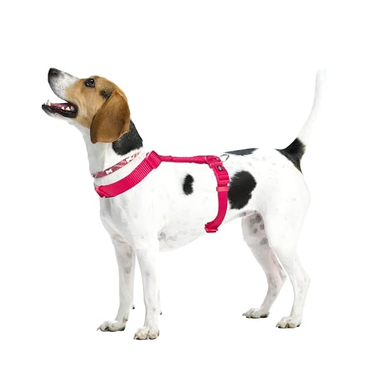 TRIXIE PREMIUM H HARNESS S M 42 60CM 15MM FUCHSIA