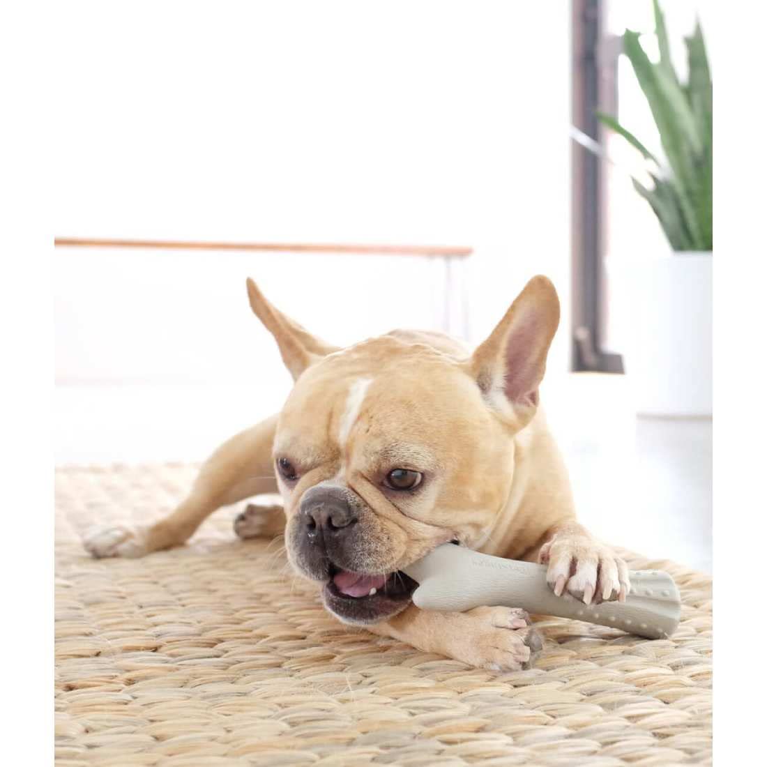 DEERHORN DURABLE CHEW TOY SMALL 13 CM