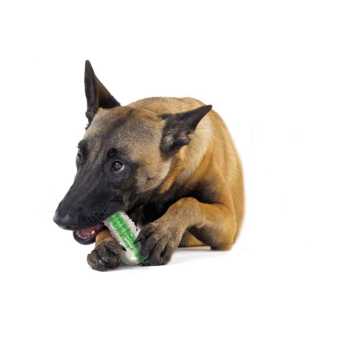 CRUNCHCORE BONE MEDIUM 14 CM