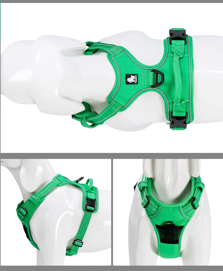 TRUELOVE CLASSIC HARNESS L GRASS GREEN