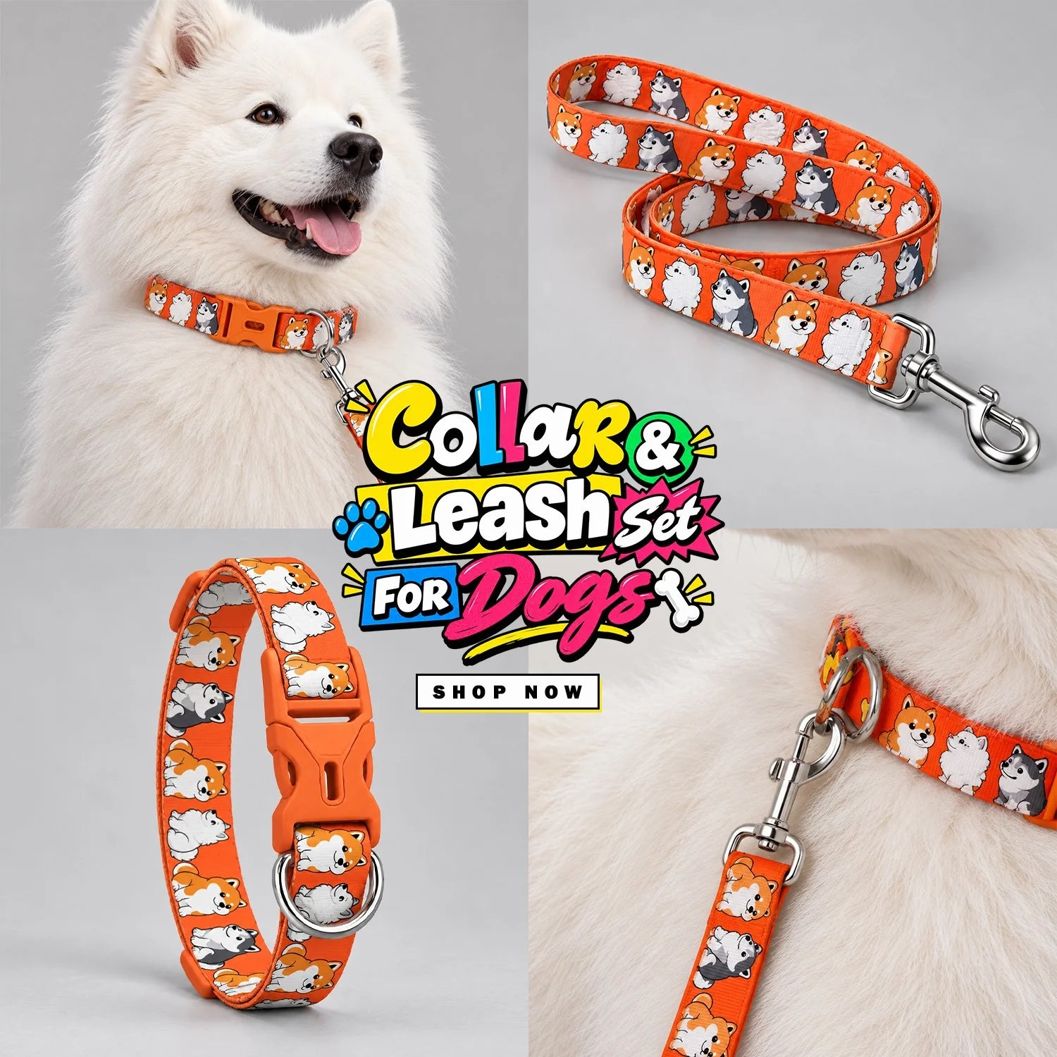 PAWSINDIA LOVE PRINTED COLLAR LEASH SET