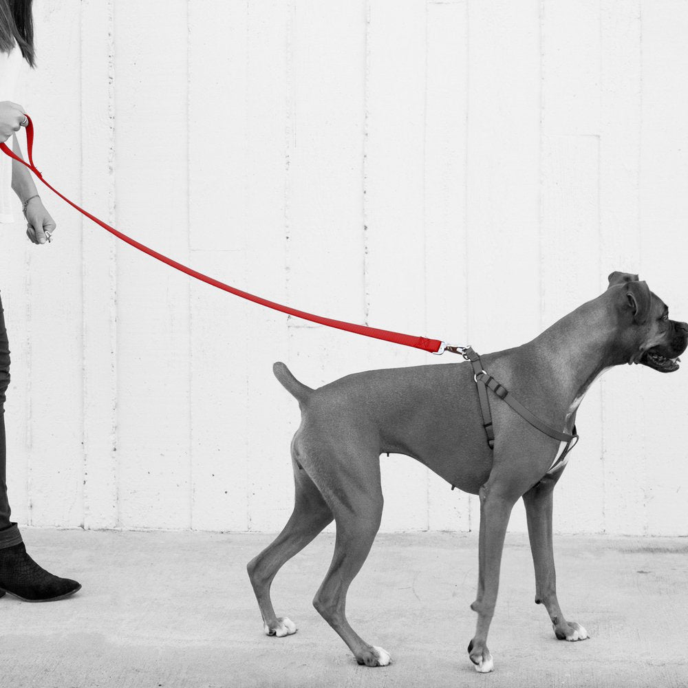 5 8INCH X 5 SINGLE LEAD RED