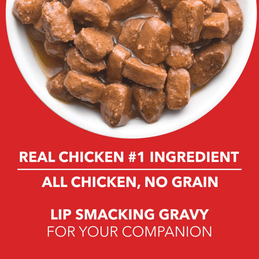 DROOLS ADULT CHICKEN CHUNKS GRAVY 150GM