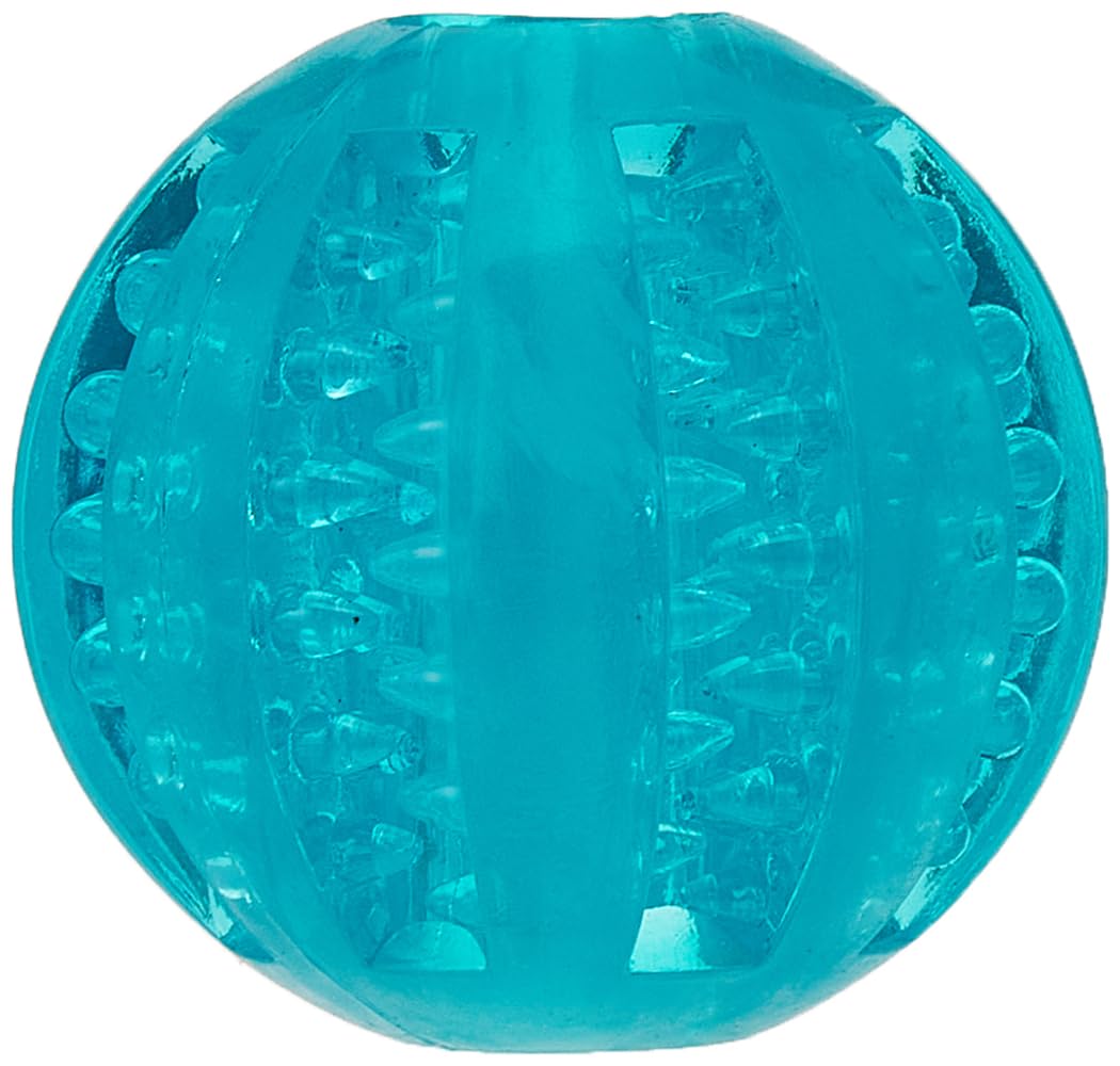 DENTA FUN BALL MINT FLAVOUR NATURAL RUBBER 6CM