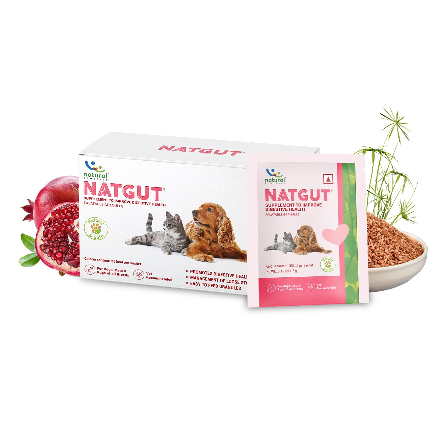 NATURAL REMEDIES NATGUT SACHET 4.2GRM