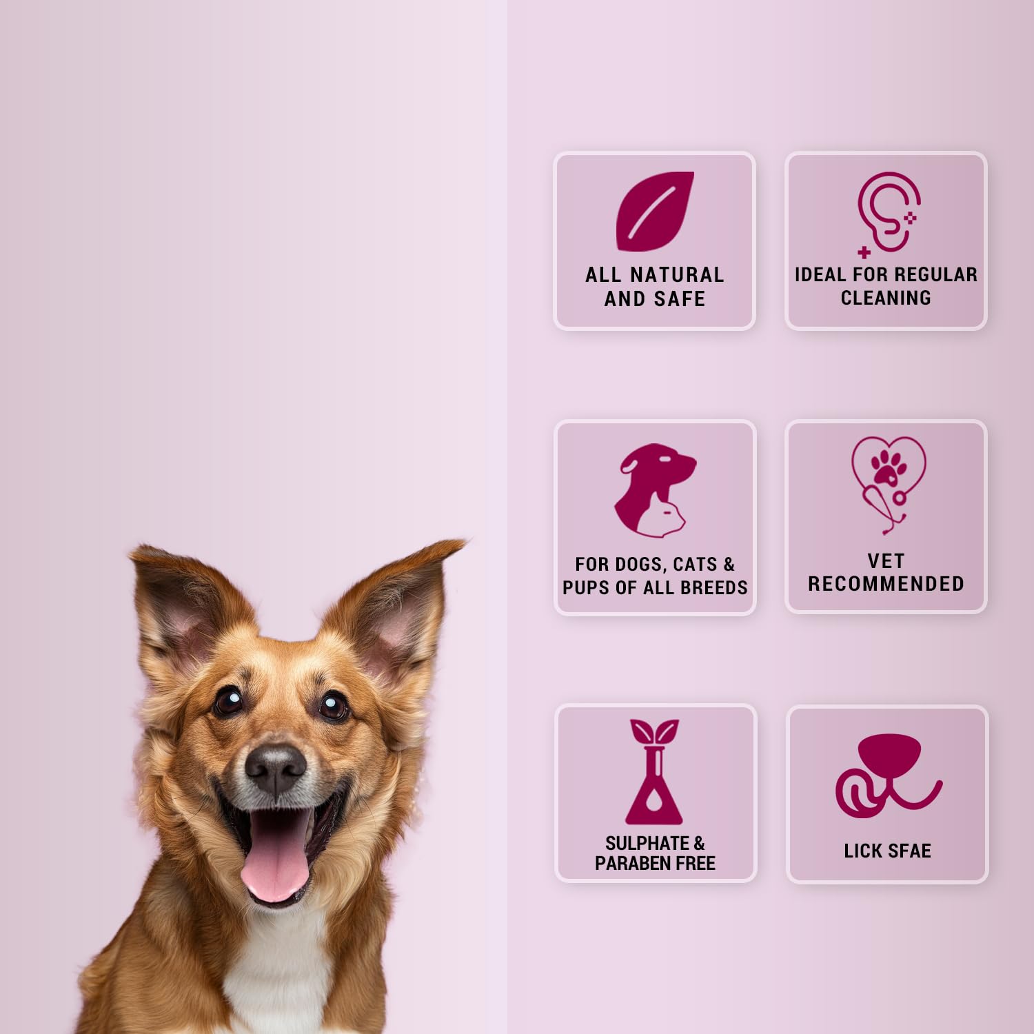 NATURAL REMEDIES AUDICLEAN 90ML