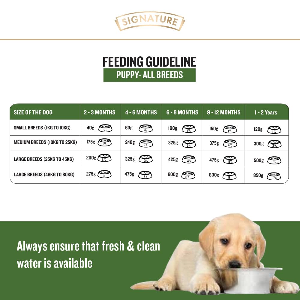 GRAIN ZERO REAL CHICKEN EGG AND FRESH VEGITABLES CHUNKS IN GRAVY PUPPY 150GM