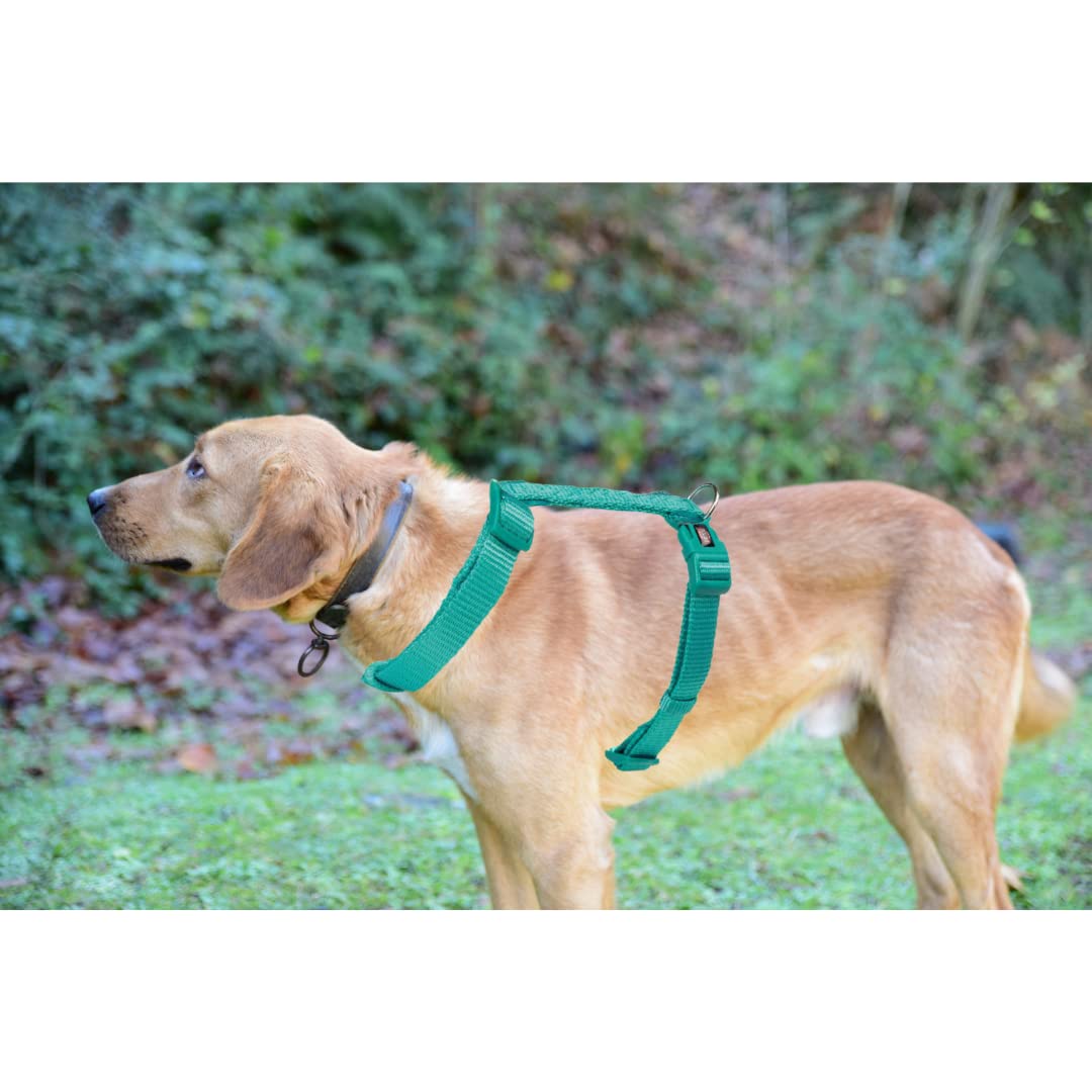 TRIXIE PREMIUM H HARNESS M L 52 75CM 20MM OCEAN