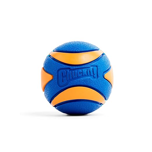 CHUCKIT ULTRA SQUEAKER BALL LARGE 1PK