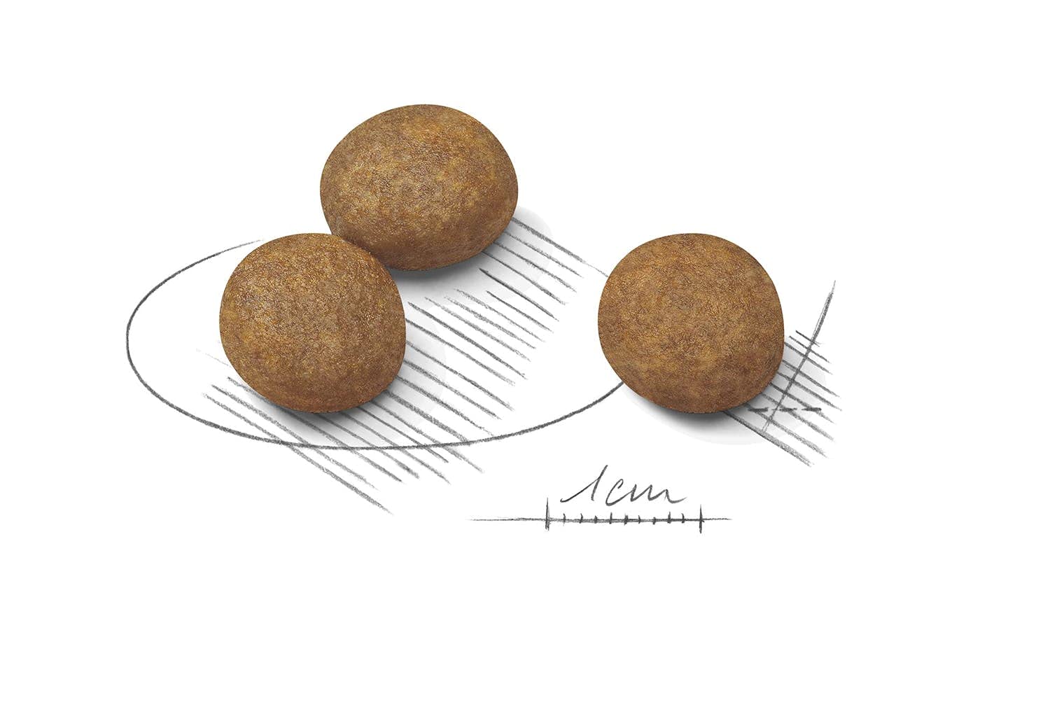 ROYAL CANIN MAXI PUPPY 4 KG