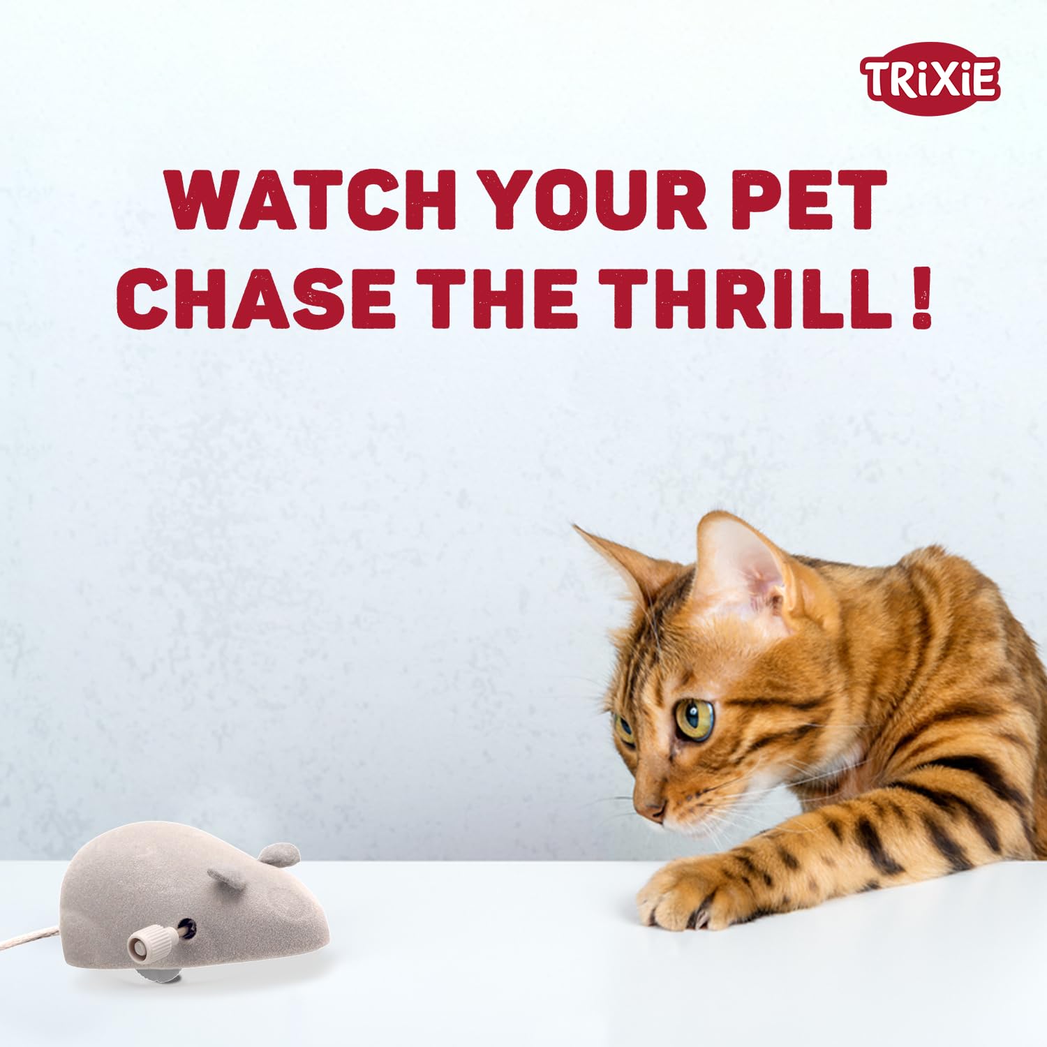 WIND UP MOUSE CAT TOY