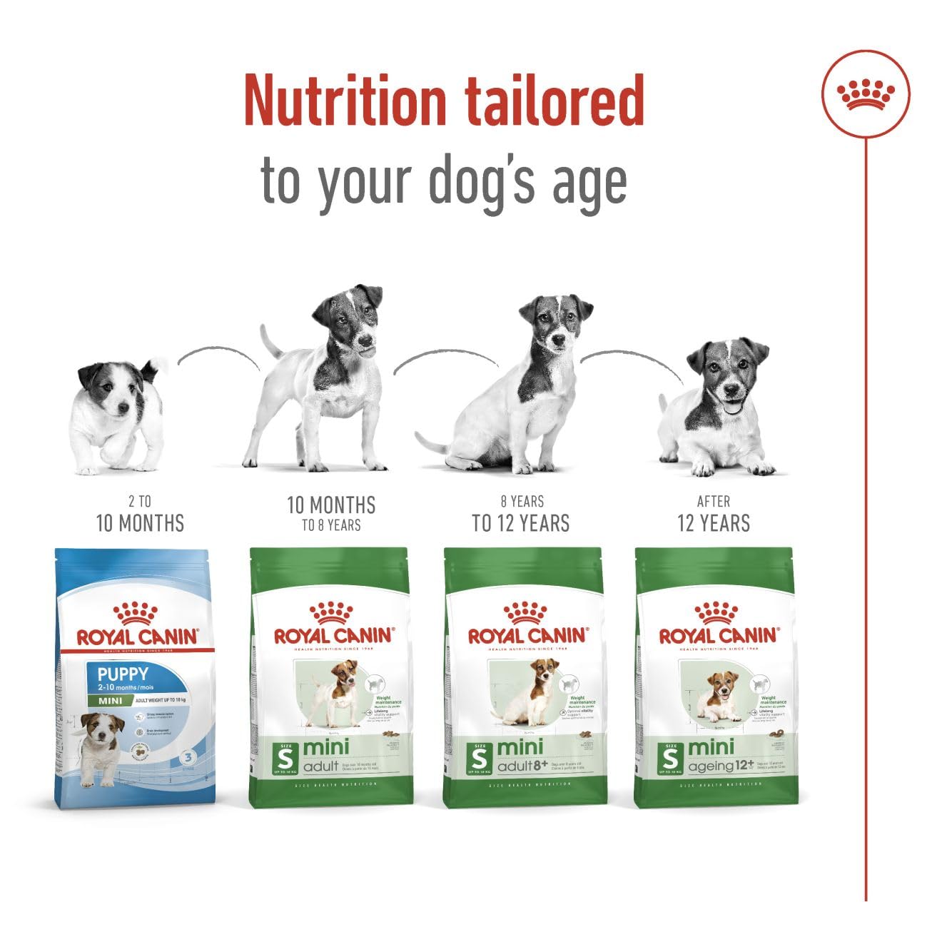 ROYAL CANIN MINI ADULT 4 KG