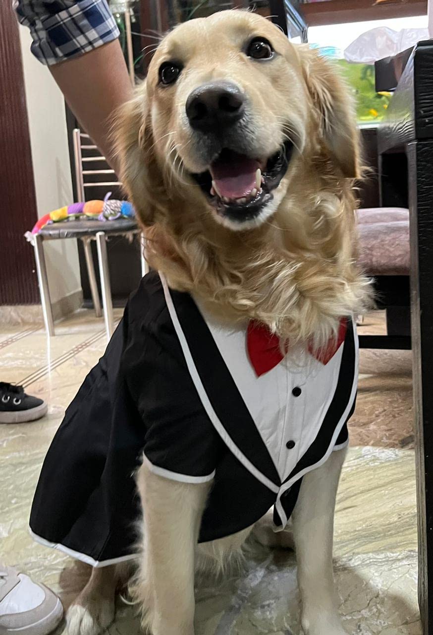 DOB TUXEDO WITH SLEEVES XL