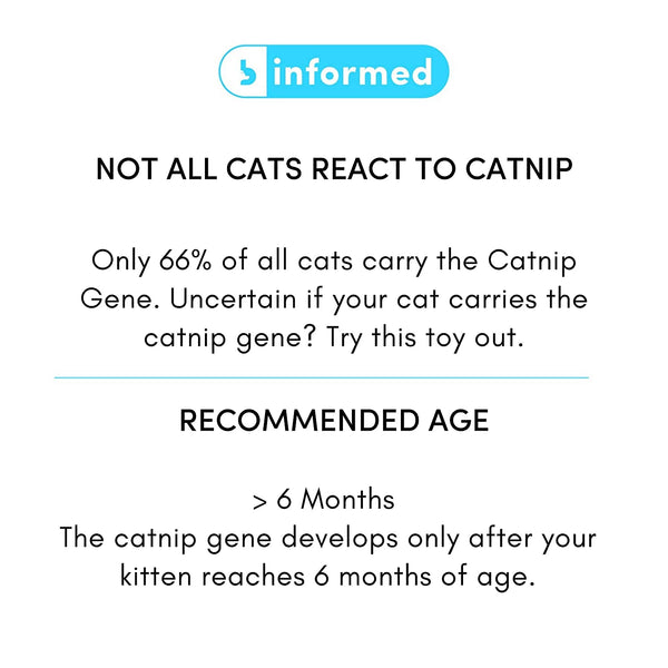 BARKBUTLER FOFOS YUMMY DIETPOPCORN AND CONE