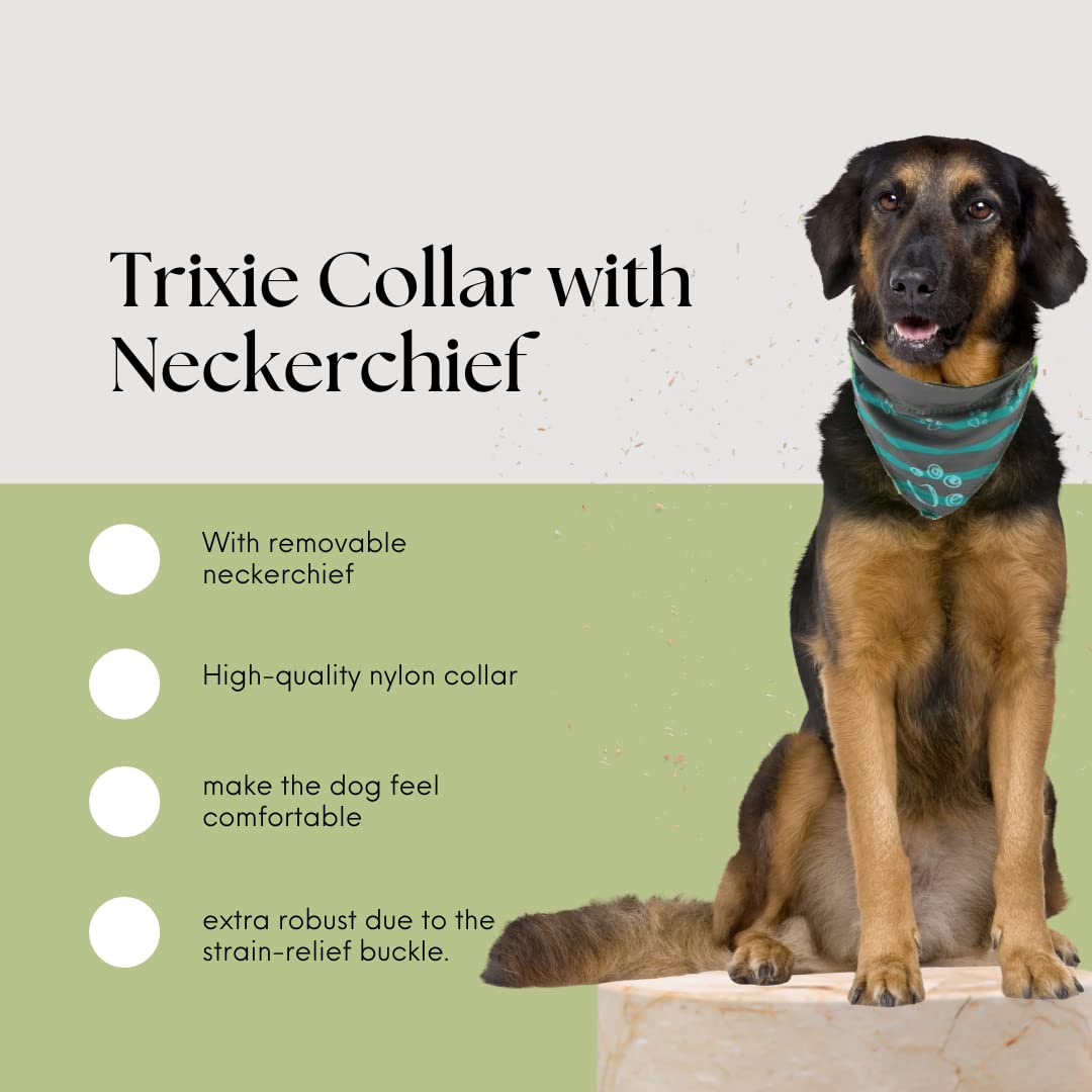 COLLAR WITH NECKERCHIEF M 37 47 CM 20 MM GRAPHITE