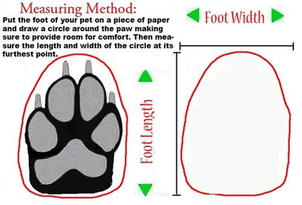 DOG CANVAS SHOES NO.3