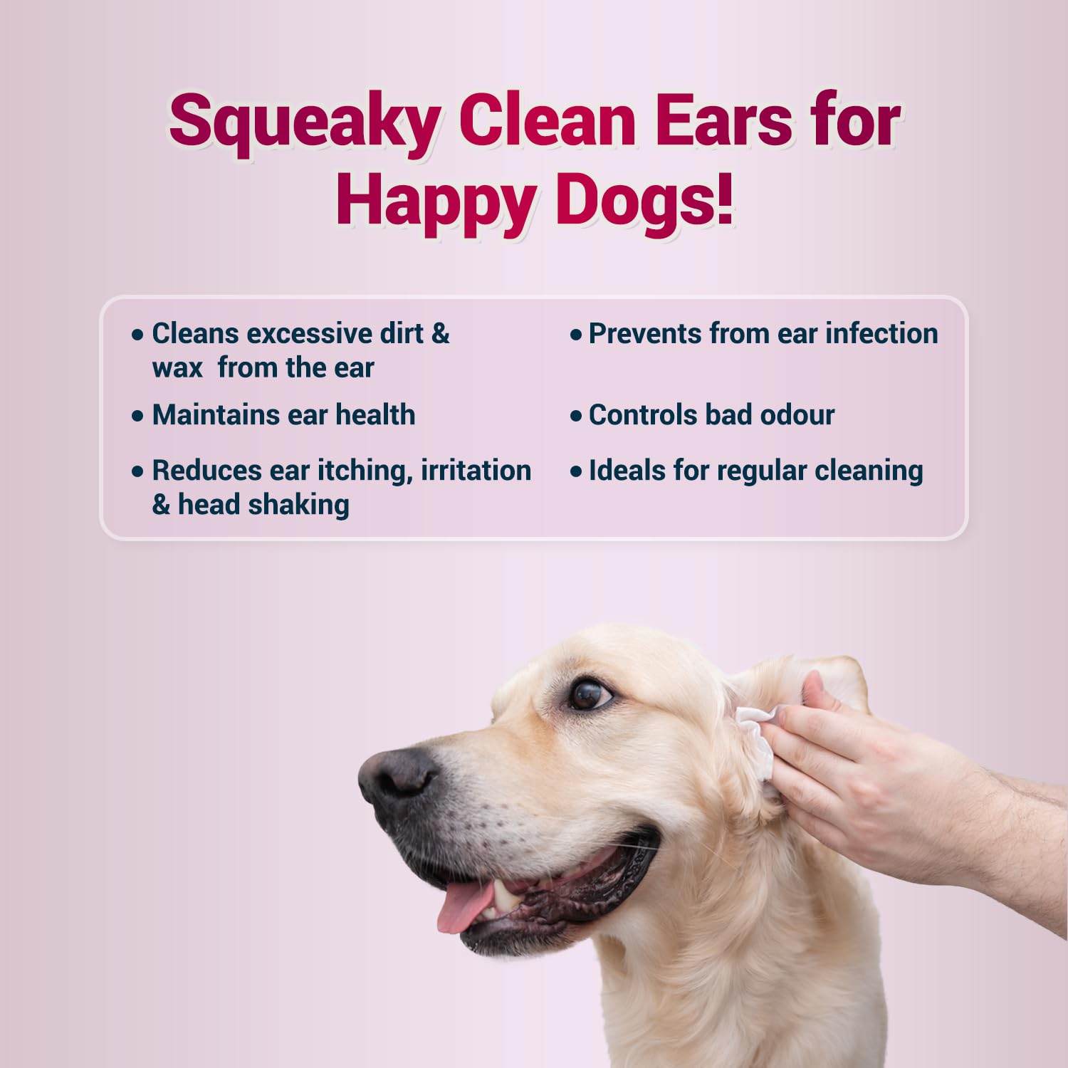 NATURAL REMEDIES AUDICLEAN 90ML