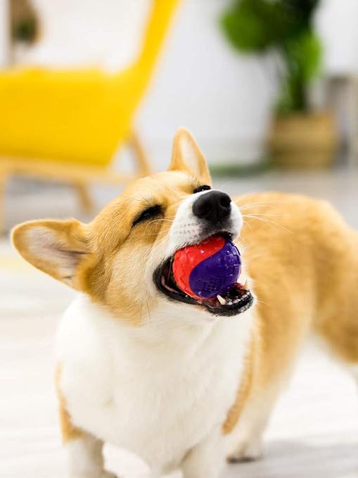 GIGWI BALL RED SMALL