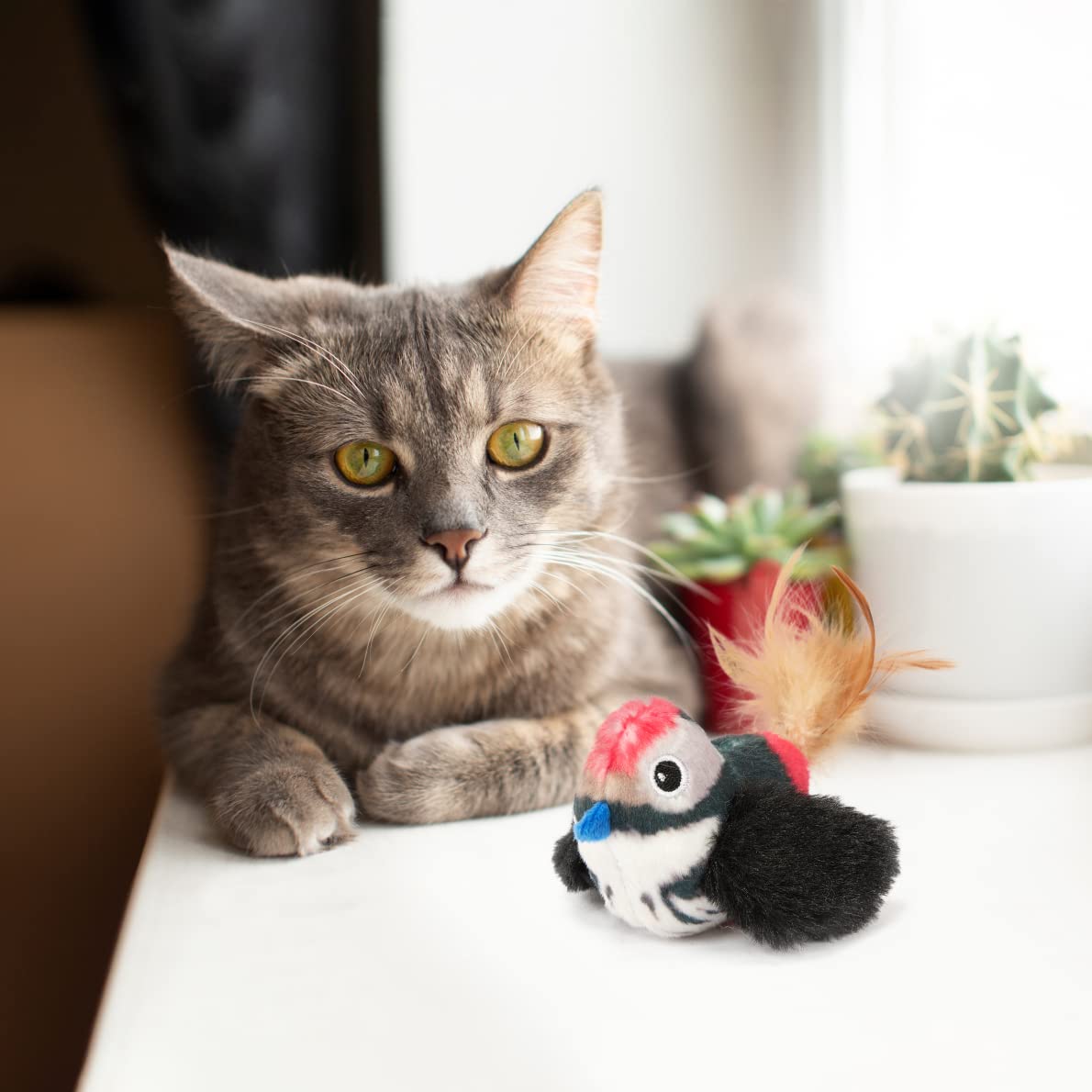 FOFOS BLACK BIRD WITH CATNIP BALLS