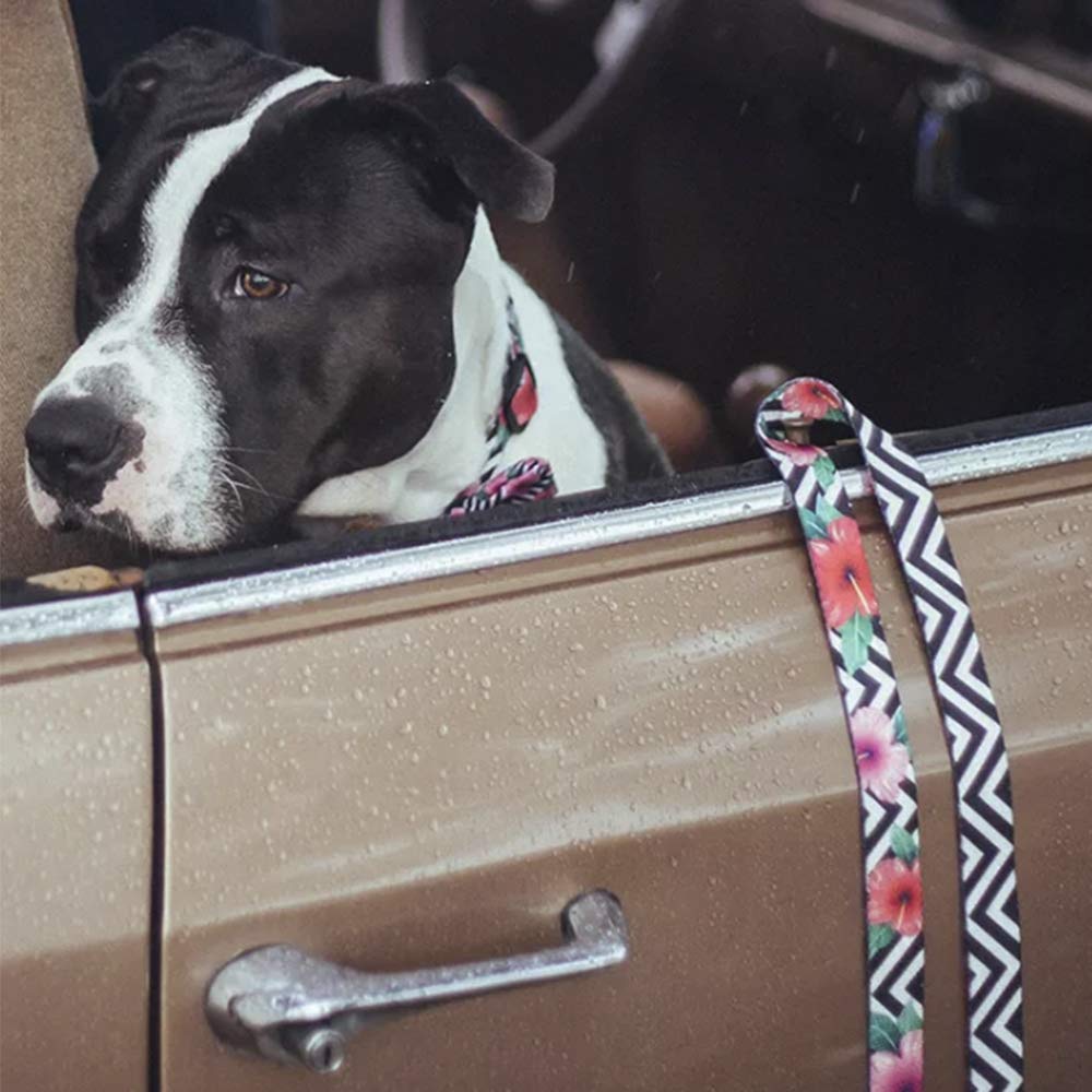 ZEEDOG MAHALO LEASH SMALL