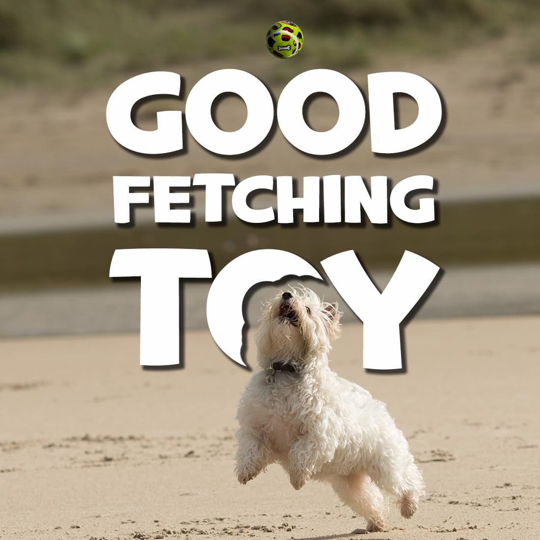 TENNIS BALLS DIA 6CM DOG TOY