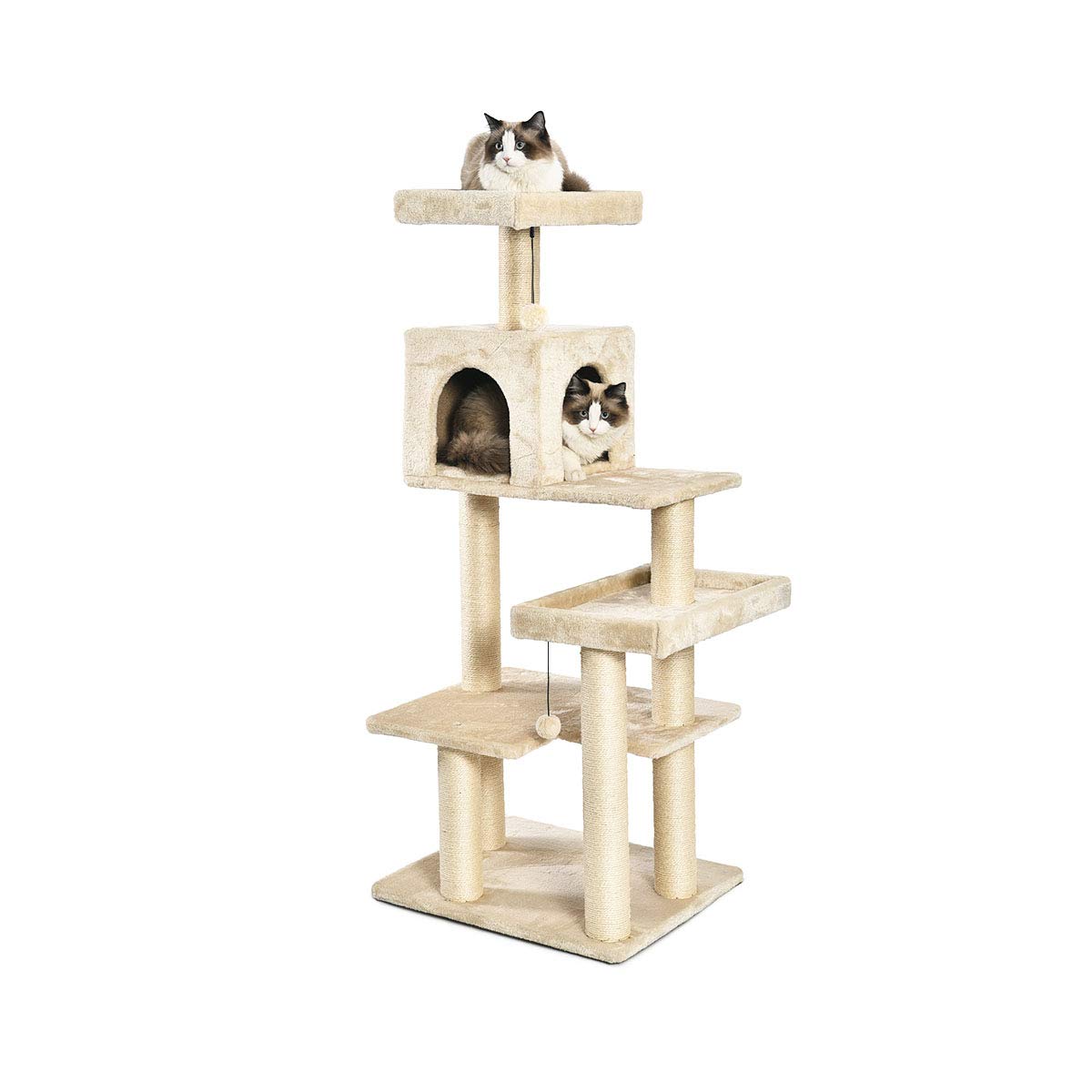 CAT TREE 10B