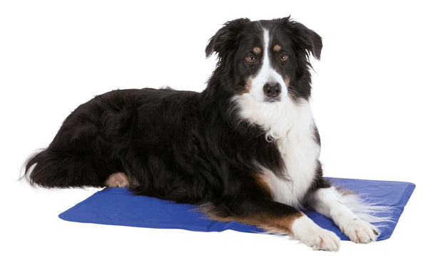 TRIXIE COOLING MAT BLUE 20X16 INCH