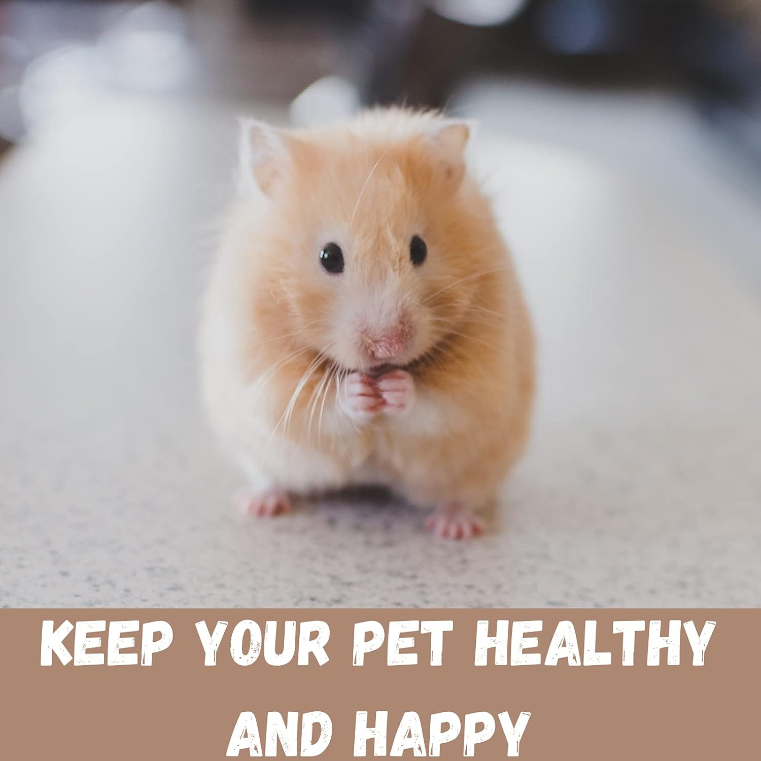 MARTHA HAMSTER AND GUNIEA PIGS CAGE 19X12X8 INCHES