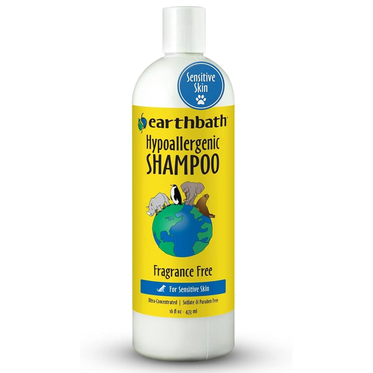 EARTHBATH HYPO ALLERGENIC SHAMPOO 16OZ