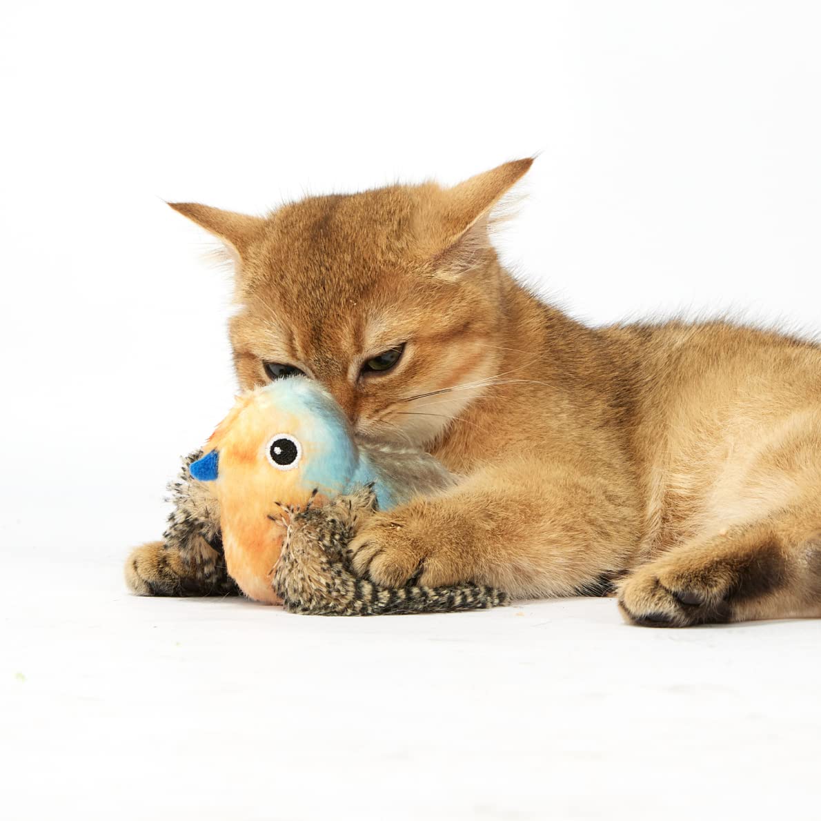 FOFOS BLUEBIRD WITH CATNIP BALLS