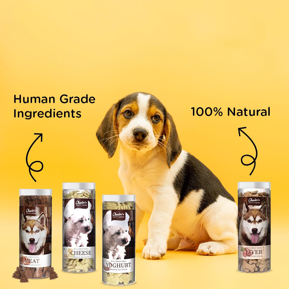 CHESTER CHEESE BISCUIT JAR 700G