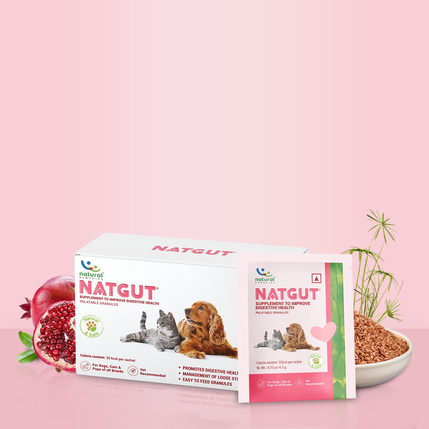 NATURAL REMEDIES NATGUT SACHET 4.2GRM