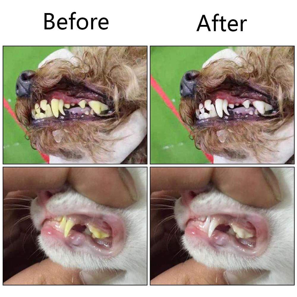 TOOTHBRUSH SET DOG CAT 6CM 2PC