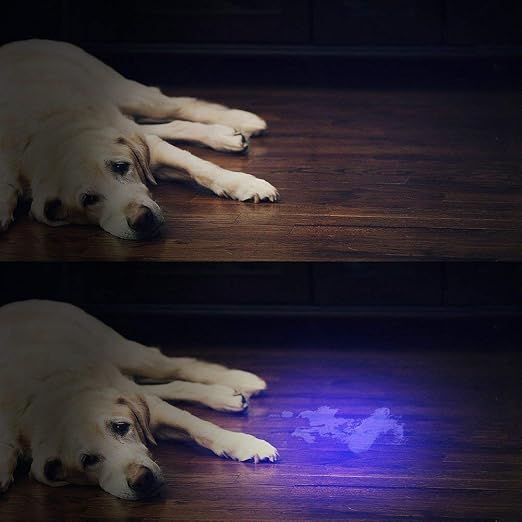 URINE OFF LED URINE FINDER