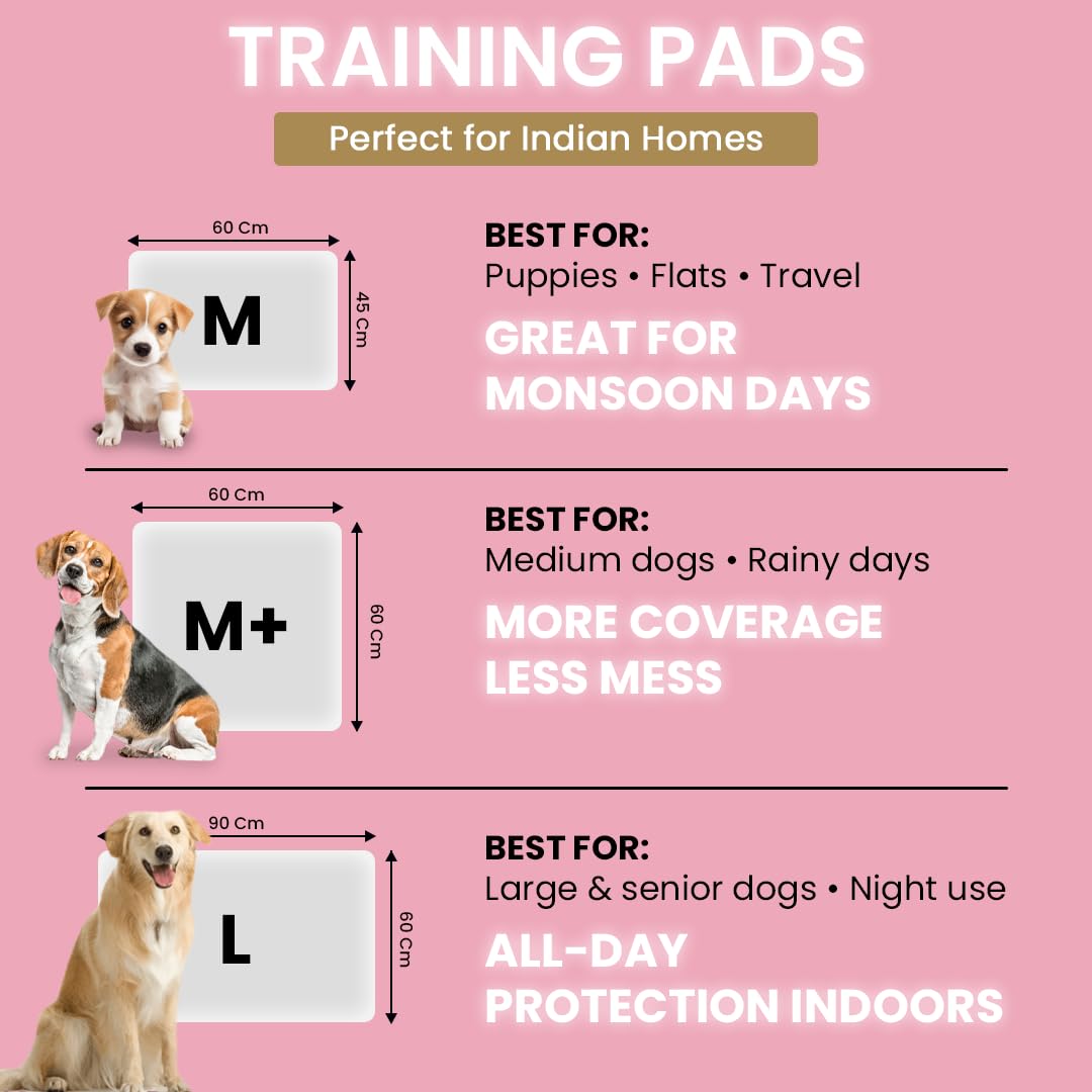 GOODIES TRAINING PADS L