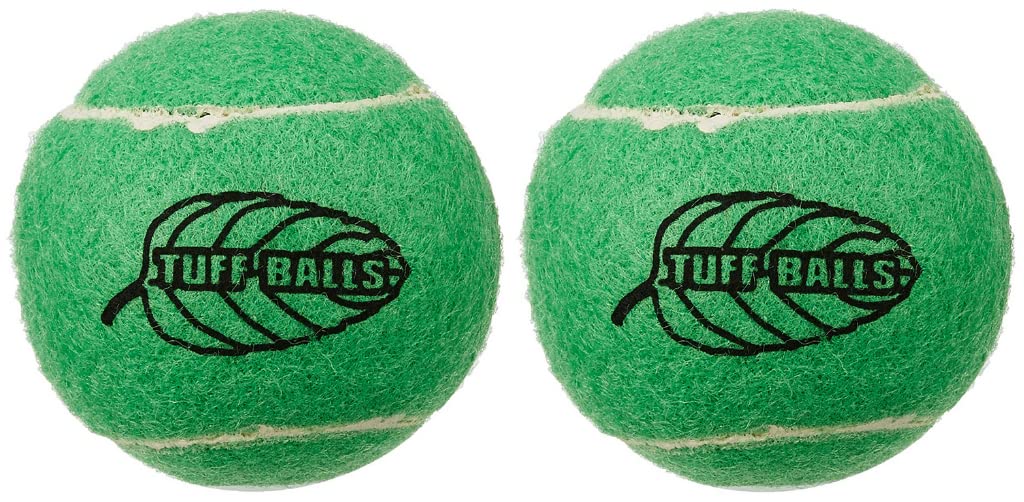 PETSPORTS TUFF MINT BALLS 2 PK