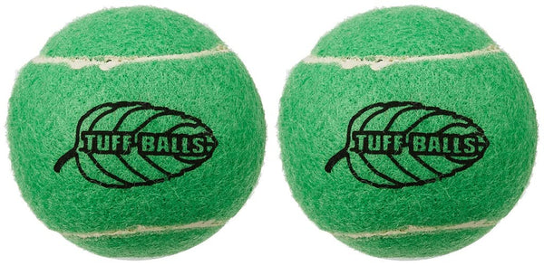PETSPORTS TUFF MINT BALLS 2 PK