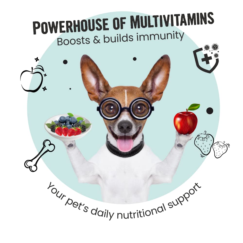 BOL MULTIVITAMIN IMMUNITY CHEWSTIX 100GM