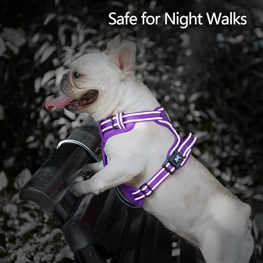 PETS POT REFLECTIVE HARNESS XS