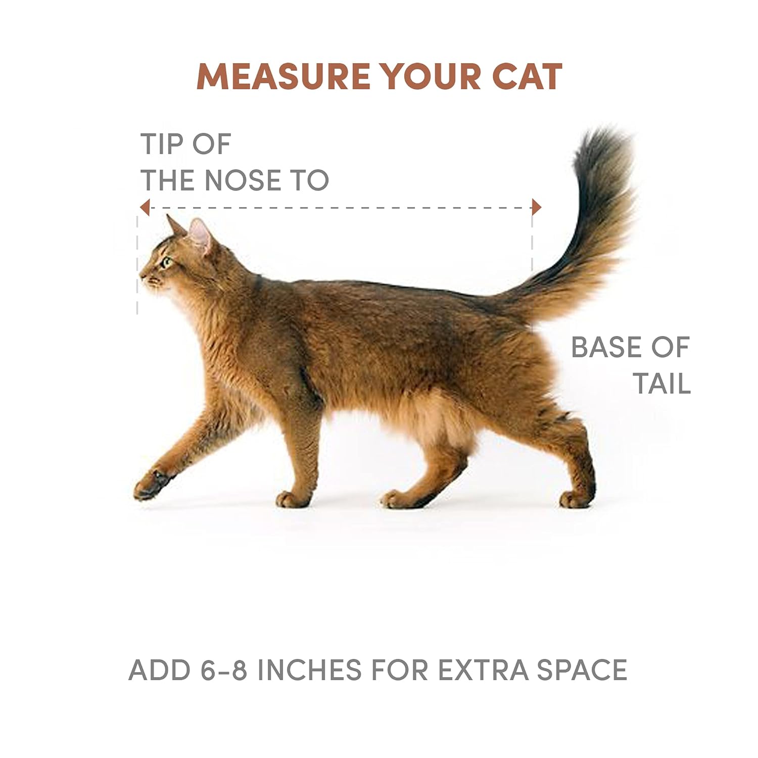 BARKBUTLER FOFOS PET BED SNAIL