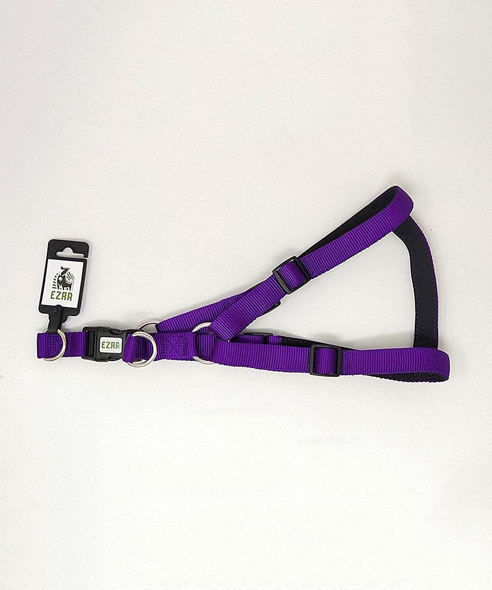 EZRA 2X SPORT HARNESS M PURPLE